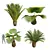 Tropical Plant Decor Set 3D model small image 1