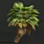 Tropical 3D Pritchardia Garden Tree 3D model small image 2