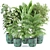 Exquisite Indoor Plants Collection Vol. 157 3D model small image 1