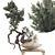 Modern Bonsai Tree 3D Model 3D model small image 1