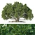 Large Moreton Bay Fig Tree 3D model small image 1