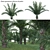  Complete 3D African Oil Palm 3D model small image 1