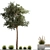 Urban Landscape Collection: Bench, Planters, Trees 3D model small image 5