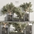  Indoor Plant Bonsai Set 87 3D model small image 2