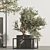  Indoor Plant Bonsai Set 87 3D model small image 6