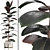 Glossy Ficus Elastica Indoor Plant 3D model small image 1