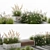 Urban Oasis Collection: Grasses & Benches 3D model small image 3