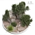 Rustic Outdoor Plant 3D Model 3D model small image 9