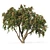 6m Apple Tree Model 2012 3D model small image 1