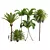 Exotic Plant 3D Models Bundle 3D model small image 1