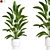 Botanical 3D Plant Collection 3D model small image 1