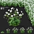 Hybrid Anemona Bush | 3D Plant Model 3D model small image 1