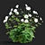 Hybrid Anemona Bush | 3D Plant Model 3D model small image 4