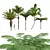 Tropical Plant 3D Models Collection 3D model small image 1