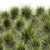 Urban Needle Grass Collection 3D model small image 4