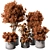 Indoor Greenery Duo - TreeBush 3D model small image 1