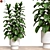 Nature 3D Plant Collection 91 3D model small image 1