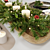  Festive Christmas Table Setting 3D model small image 4