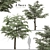 European Common Ash Tree Pair 3D model small image 1