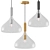 Modern Belleview Pendant Light 3D model small image 2