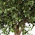 3D Tree Model Set 3D model small image 2