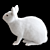 White Rabbit Model Virtual Asset 3D model small image 3