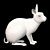 White Rabbit Model Virtual Asset 3D model small image 4