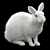 White Rabbit Model Virtual Asset 3D model small image 5