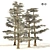 White Fir 3D Model Forest 3D model small image 1