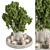 Modern Elegance Vase Plant Set 3D model small image 1