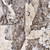 Patagonia Marble Tile Wall & Floor 3D model small image 2