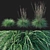 Sleek Little Bluestem Grass Model 3D model small image 1