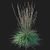 Sleek Little Bluestem Grass Model 3D model small image 3