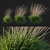 Corona Render Sideoats Grama Grass 3D model small image 1