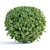 Lush Laurel Hedging Bushes 3D 3D model small image 2