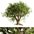 3D Tree Model - Corona/Vray 3D model small image 2