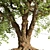 3D Tree Model - Corona/Vray 3D model small image 3