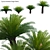 Complete 3D Plant Models Kit 3D model small image 1