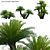  3D Sago Palm Model Collection 3D model small image 1