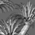  3D Sago Palm Model Collection 3D model small image 4