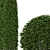 Spherical Bushes Set 3D model small image 2