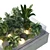 Glass-Encased Indoor Plant Model 3D model small image 4