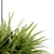 Fern Dots Planter Lamp 3D model small image 3