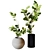 Modern Minimalist Interior Plant 07 3D model small image 1