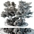 Outdoor Plant 2015 Growth Bundle 3D model small image 4