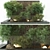 Greenery Indoor Plant Collection 3D model small image 1