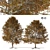 Detailed Autumn Shingle Oak Tree 3D model small image 1