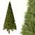 Balsam Fir Tree No.12 3D model small image 1