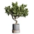 Bonsai Tree with Dirty Concrete Vase 3D model small image 1