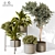 Versatile 3D Indoor Plant Model 3D model small image 1